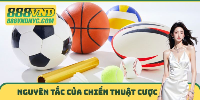 Nguyên tắc của chiến thuật cược thể thao